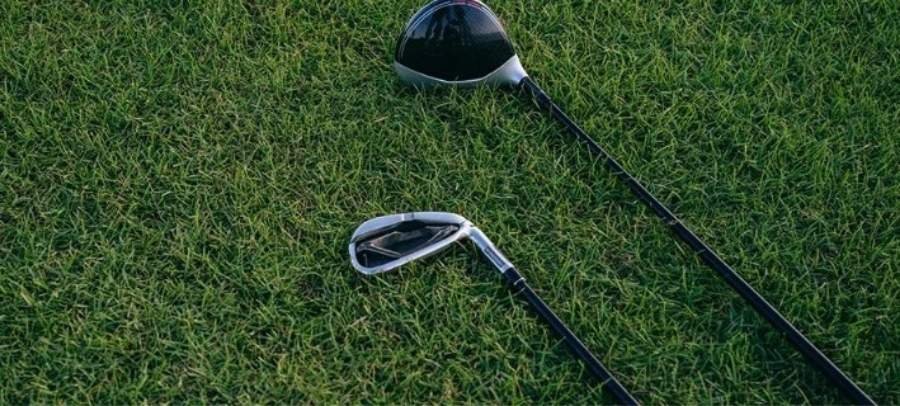 hybride ou bois de parcours