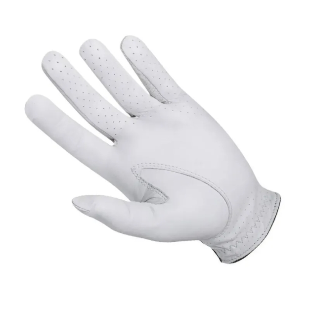 Gant de golf FootjJoy Pro FLX