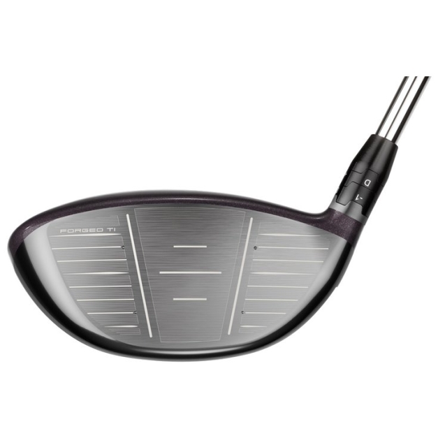 Driver Big Bertha Reva 23