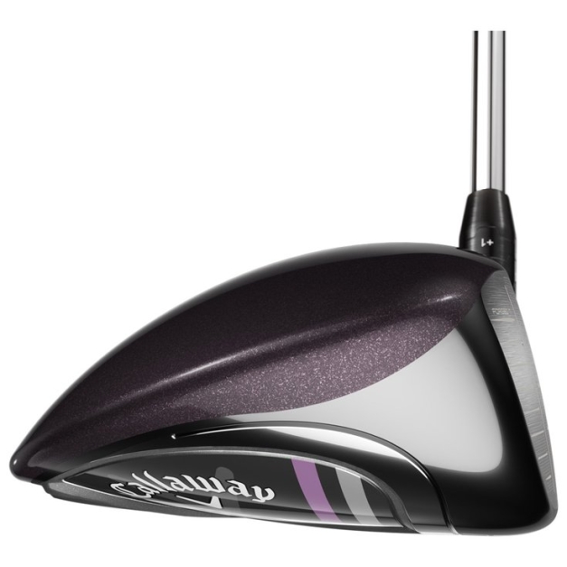 Driver Big Bertha Reva 23