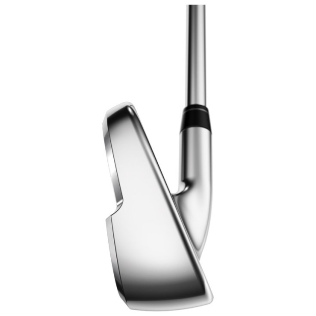 Serie de fers Paradym X Irons Women