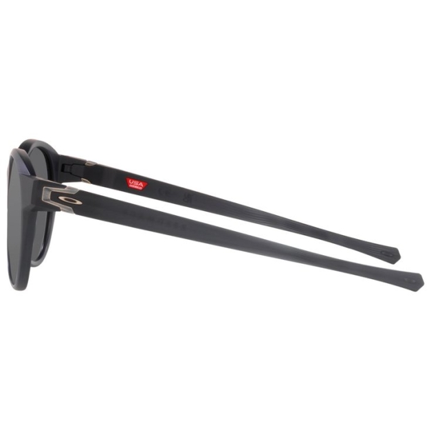 Lunettes de soleil Reedmace Matte Black Ink Prizm Black