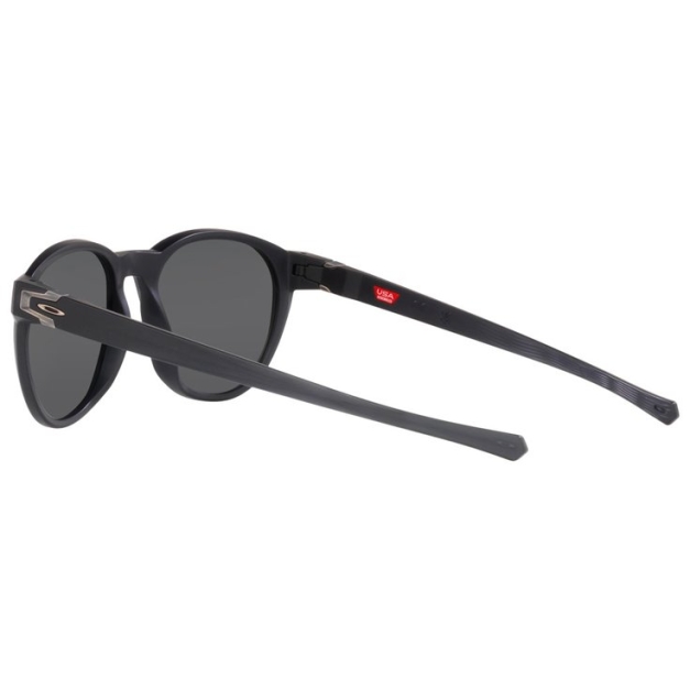 Lunettes de soleil Reedmace Matte Black Ink Prizm Black