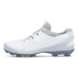 Chaussures de Golf Ecco Biom Tour homme