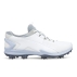 Chaussures de Golf Ecco Biom Tour homme