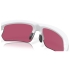 Lunettes de soleil Bisphaera Matte White Prizm Field