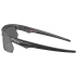 Lunettes de soleil Bisphaera Steel Prizm Black