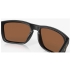 Lunettes de soleil Holbrook Matte Black Prizm Tungsten Polarized