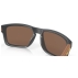 Lunettes de soleil Holbrook Matte Carbon 24k Prizm Polarized