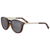Lunettes de soleil Brawley Shiny Classic Tort Saturn Polarized Smoke