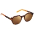 Lunettes de soleil Milton Tortoise Brown Polarized