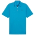 Polo Pure Solid Polo Aqua Blue