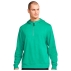 Pull Dri-Fit Golf Hoodie Neptune Green Brushed Silver