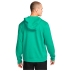 Pull Dri-Fit Golf Hoodie Neptune Green Brushed Silver