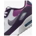Chaussures sans crampons Air Max 90 G NRG White Cave Purple Purple Smoke